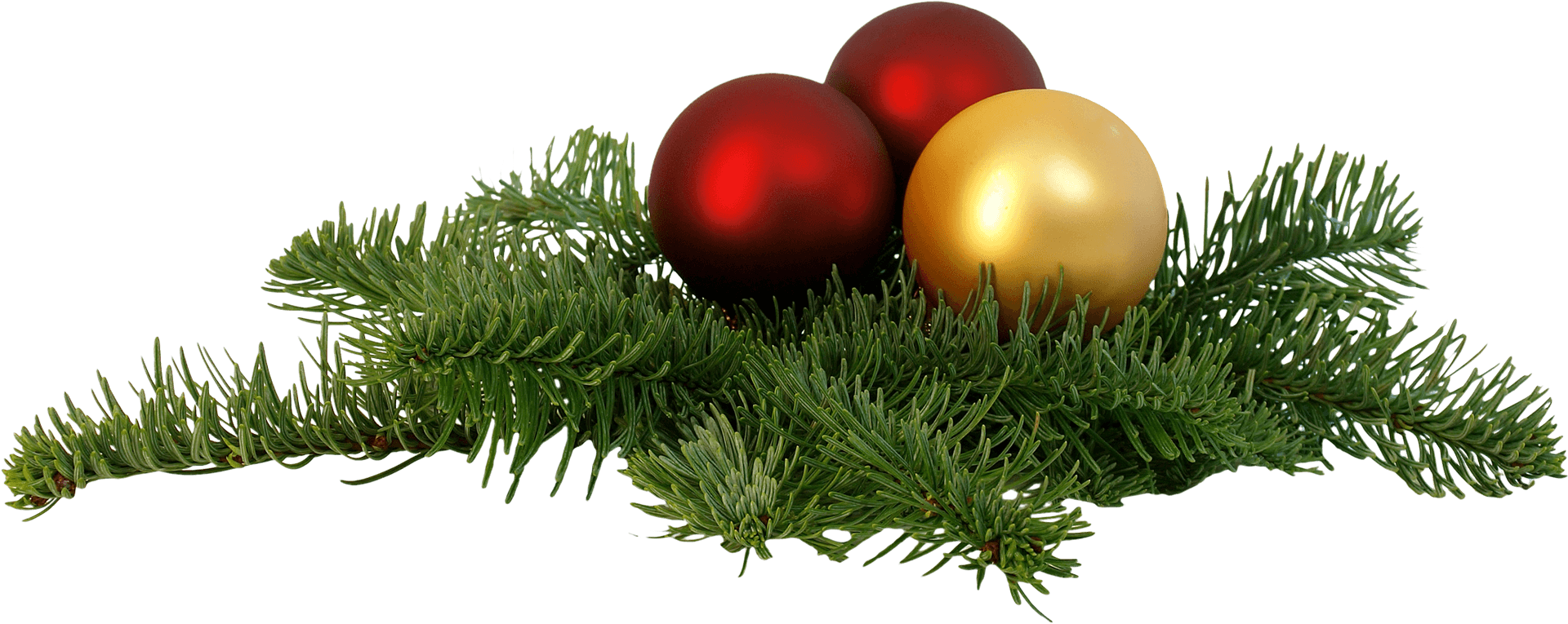 Festive Christmas Ornamentson Pine Branch PNG Image