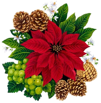 Festive Floral Arrangement PNG Image