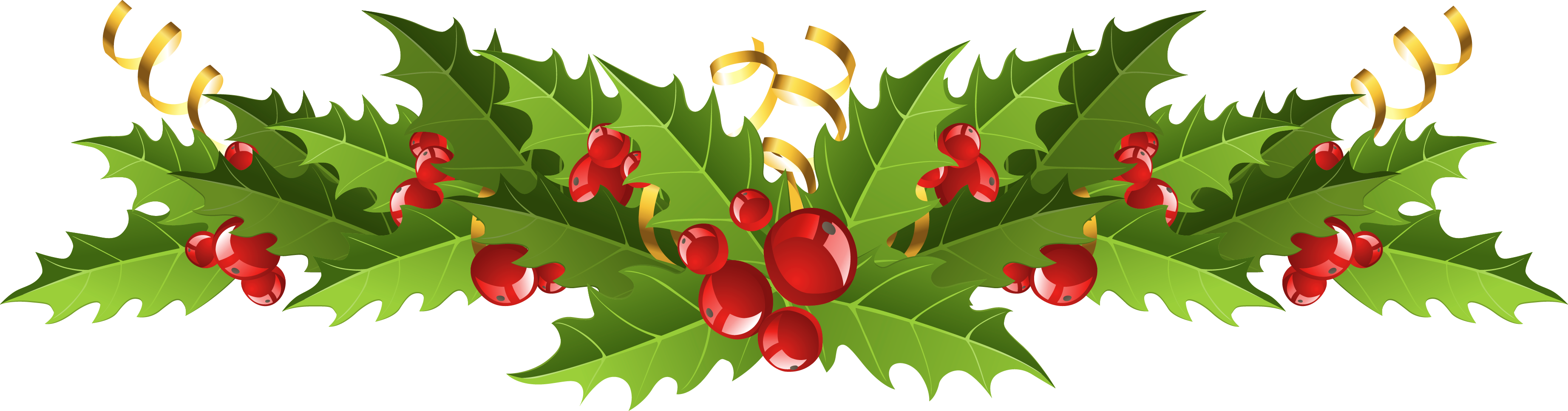 Festive Hollyand Berries Banner PNG Image