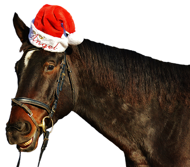 Festive Horse Wearing Santa Hat PNG Image