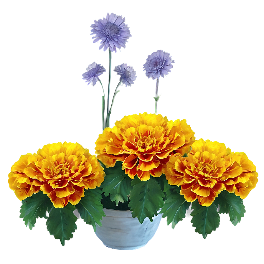 Festive Marigolds Png Ann PNG Image