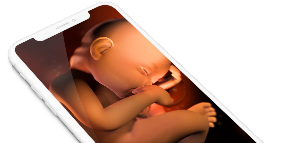 Fetal Imagery Through Smartphone PNG Image