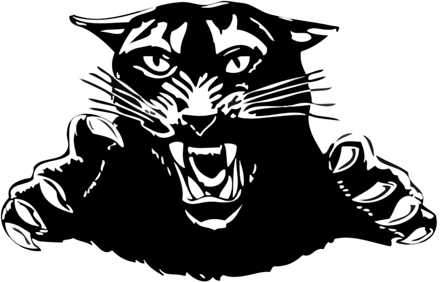 Fierce Black Panther Graphic PNG Image