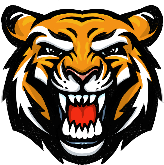 Fierce Tiger Head Illustration PNG Image