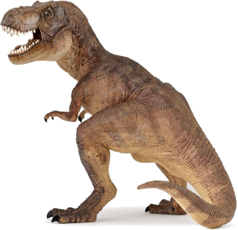 Fierce Tyrannosaurus Rex P N G PNG Image