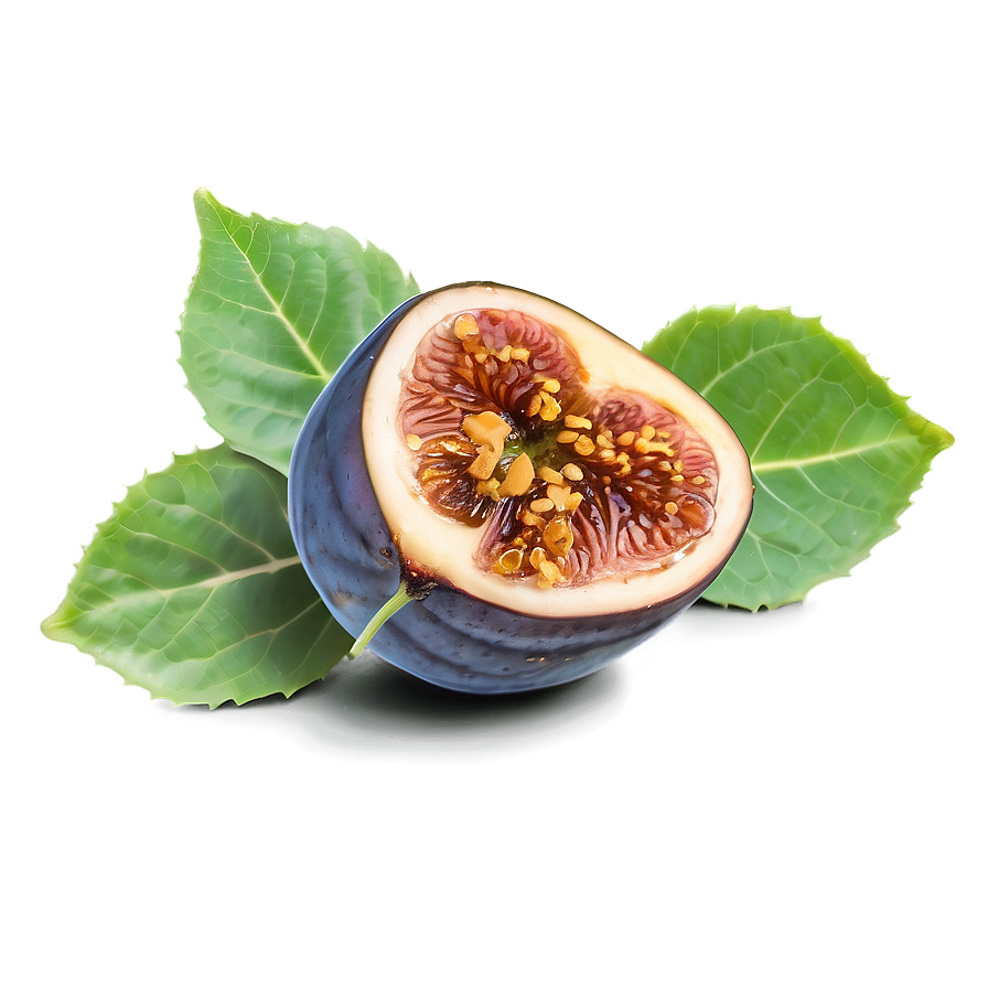 Figs And Honey Png Fhi35 PNG Image