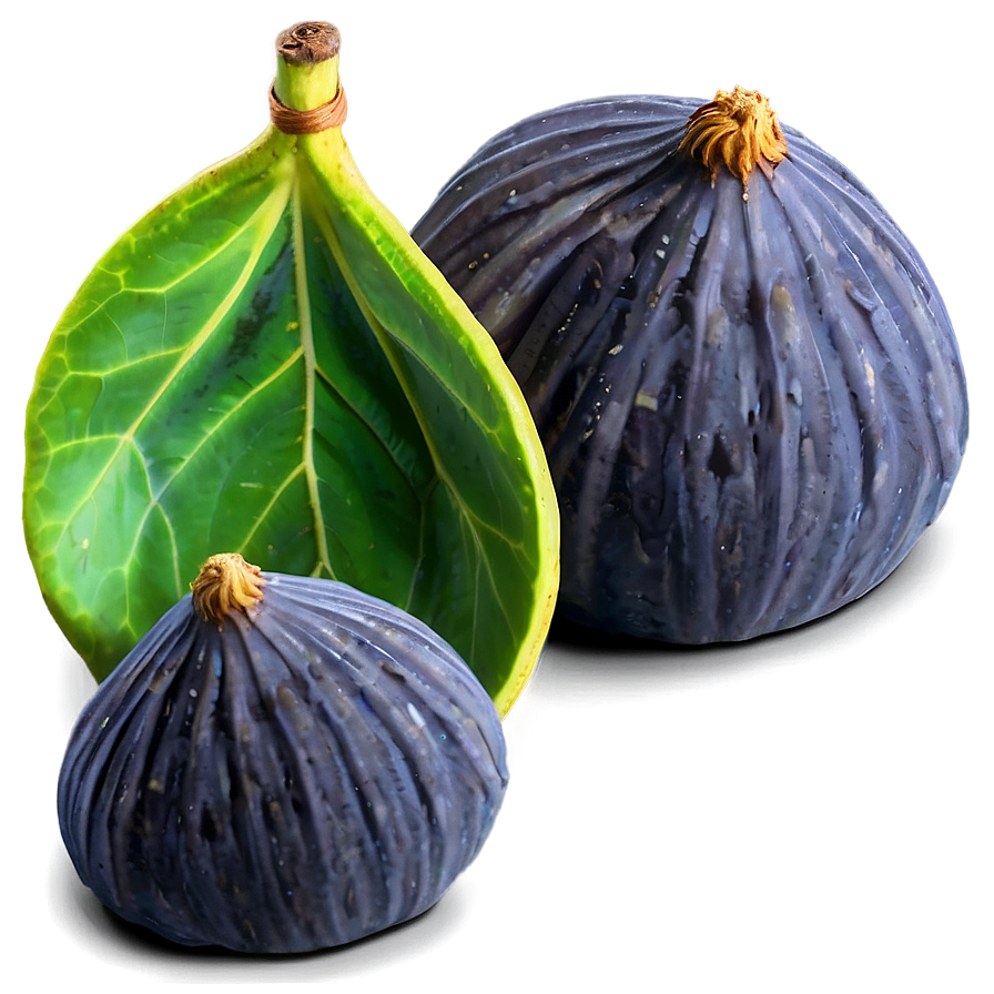 Figs Harvest Basket Png Ajd40 PNG Image