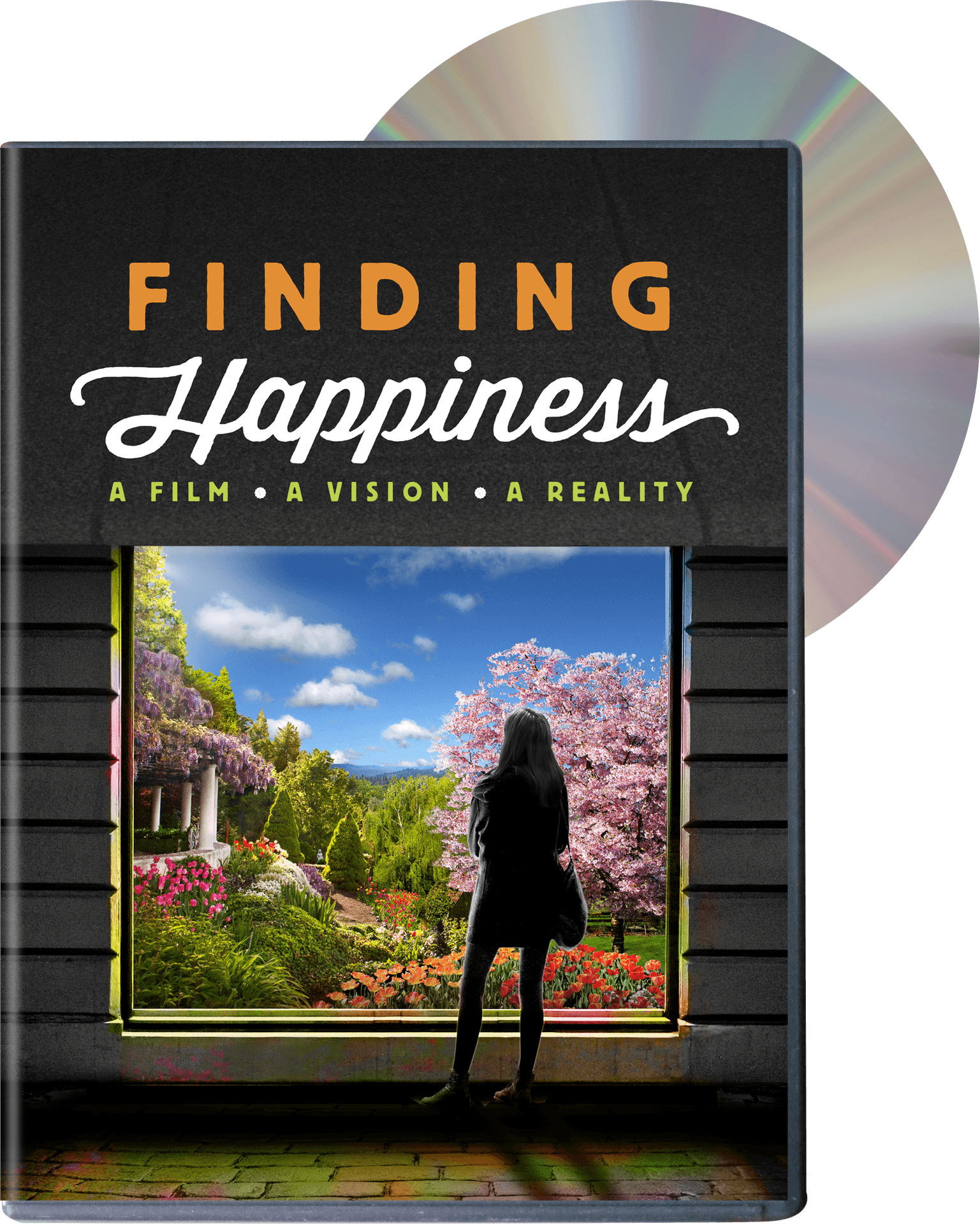 Finding Happiness D V D Cover PNG Image