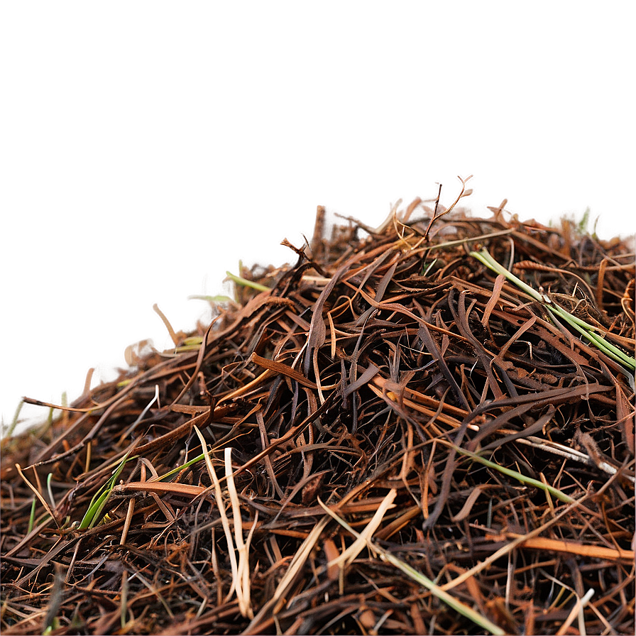 Fine Pine Needle Mulch Png 06132024 PNG Image