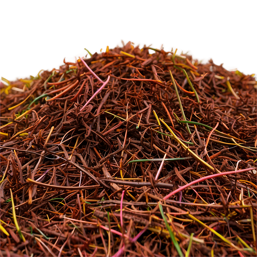 Fine Pine Needle Mulch Png Lri PNG Image