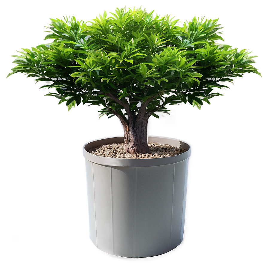 Fire-resistant Bush Png Leg80 PNG Image