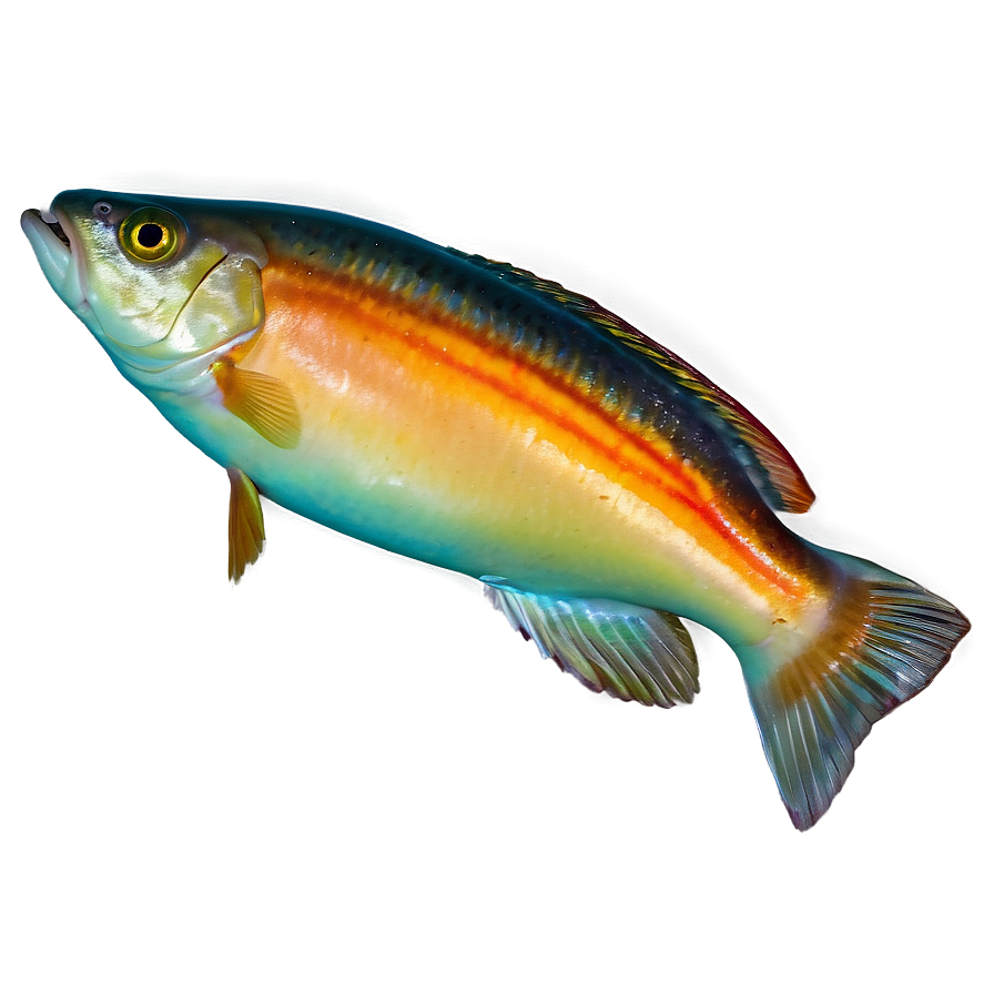 Fish A PNG Image