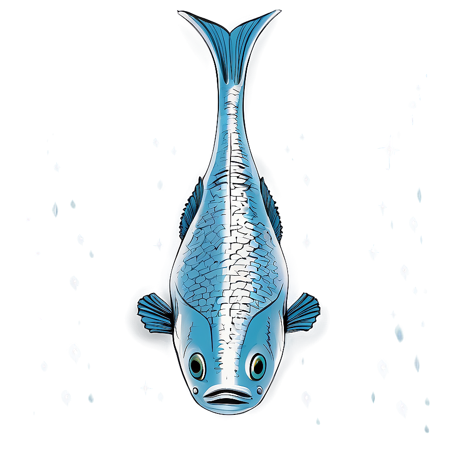 Fish Drawing Png 04292024 PNG Image