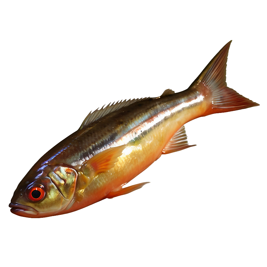 Fish Food Png Ypm50 PNG Image