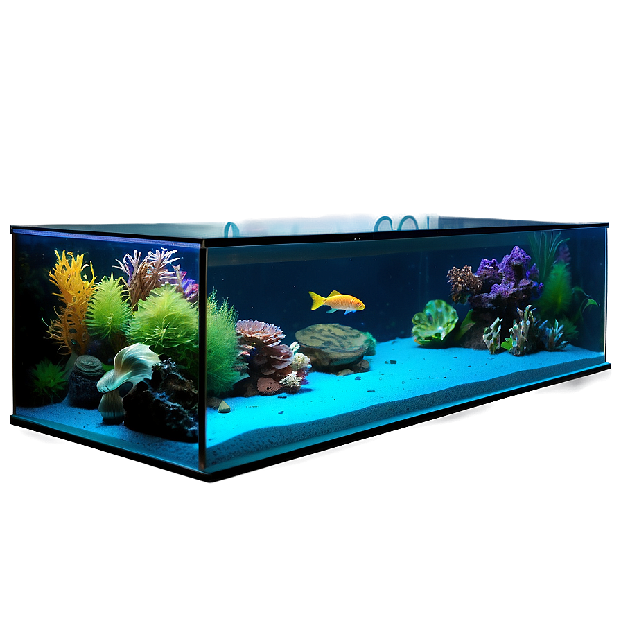 Fish Tank Side View Png Ykv54 PNG Image