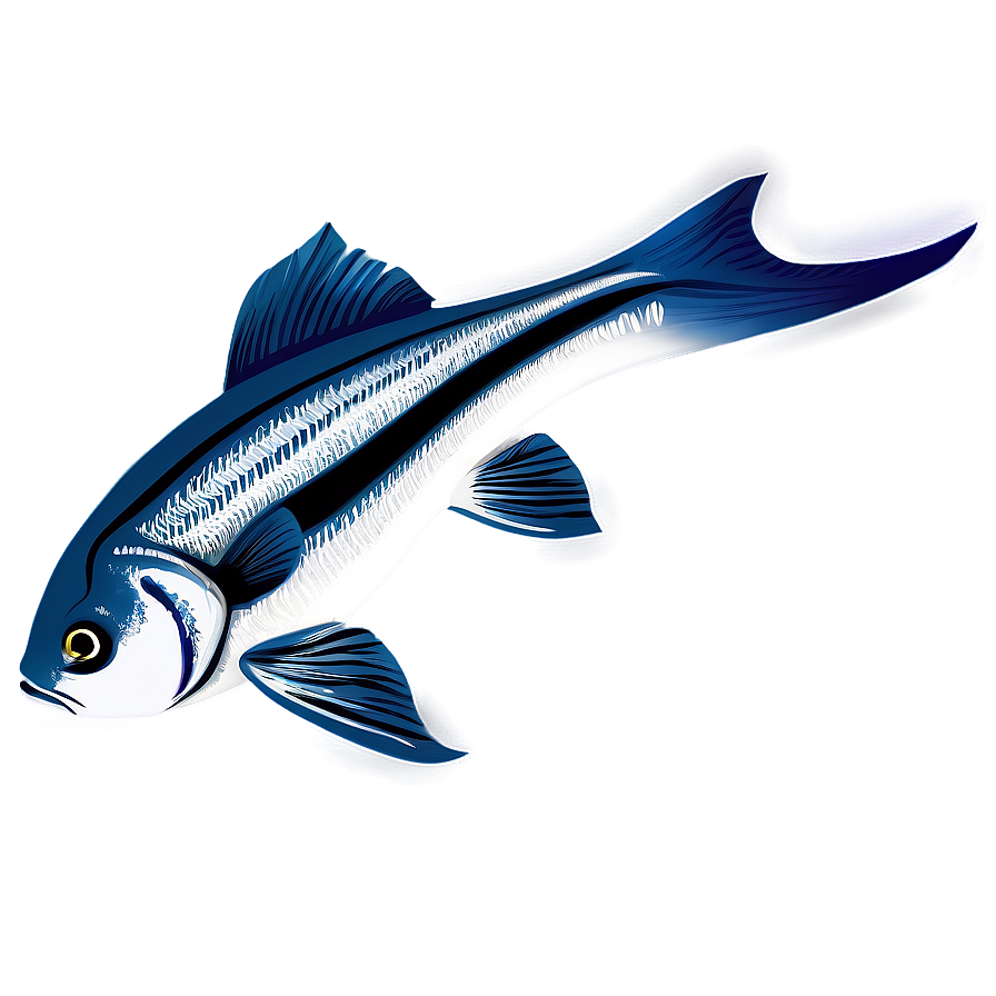 Fish Vector Png 04292024 PNG Image