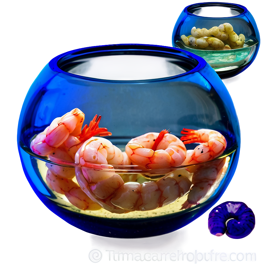 Fishbowl With Shrimp Png 06212024 PNG Image