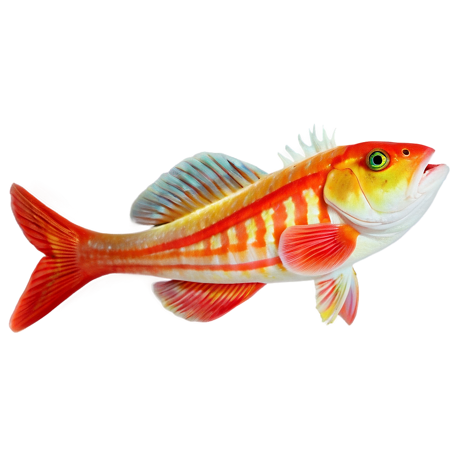 Fishes A PNG Image