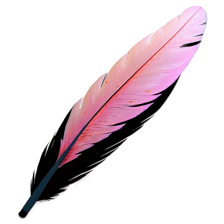 Flamingo Feather Detail Png 1 PNG Image