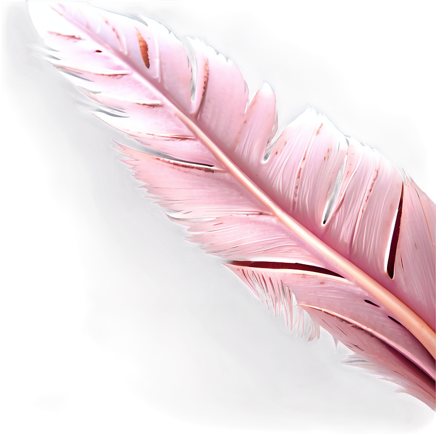 Flamingo Feather Detail Png Iop PNG Image