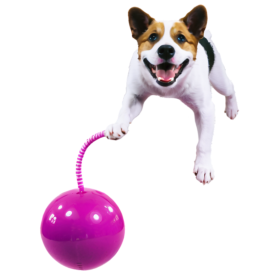 Floating Dog Toy Png 77 PNG Image