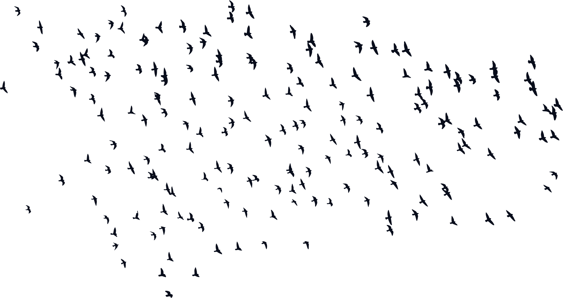 Flock_of_ Birds_in_ Flight_ Silhouette PNG Image