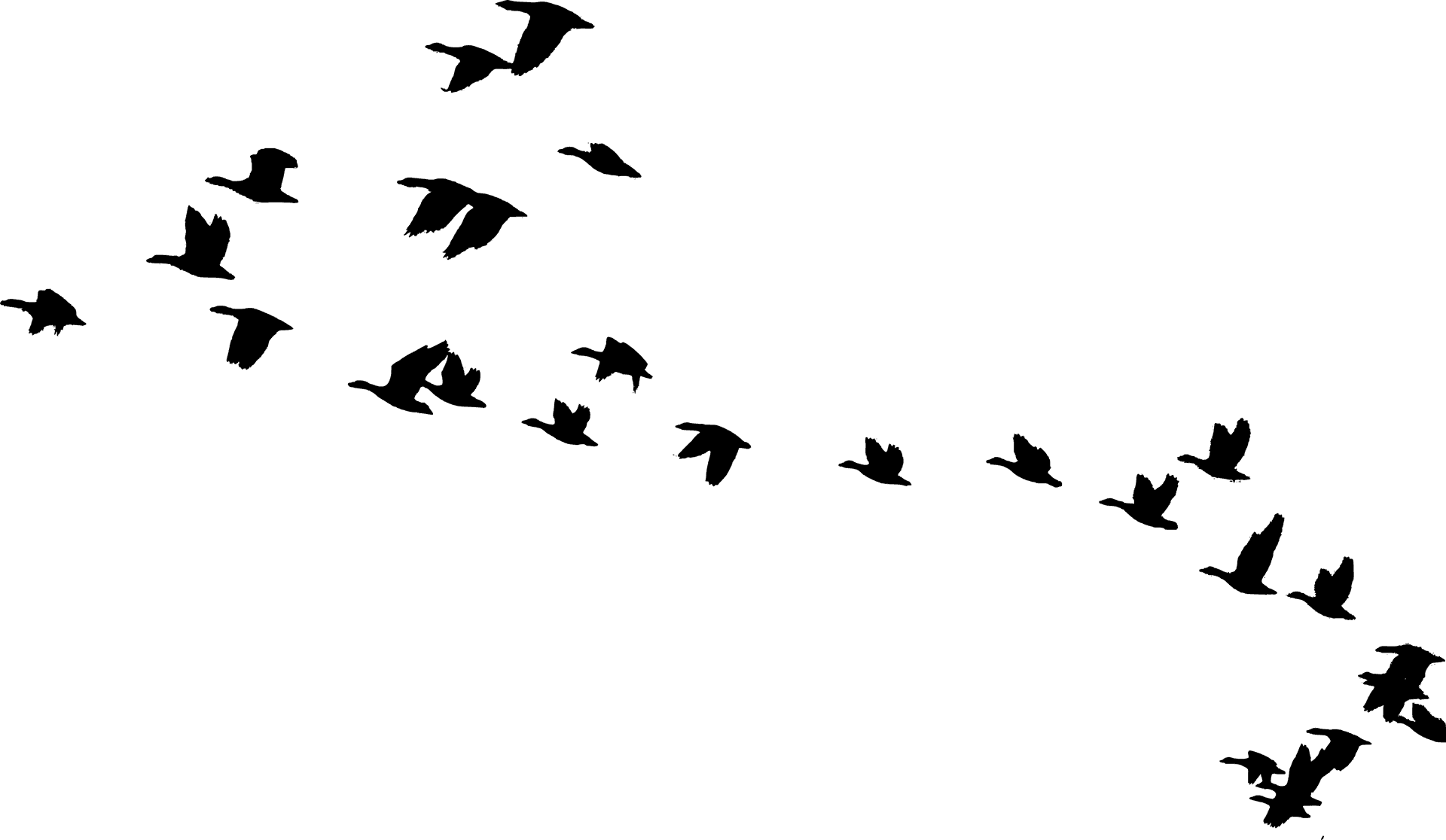 Flockof Birds Silhouette Sky PNG Image