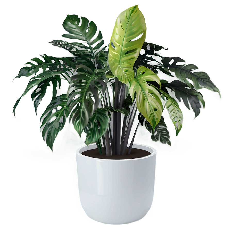 Floor Plant B PNG Image