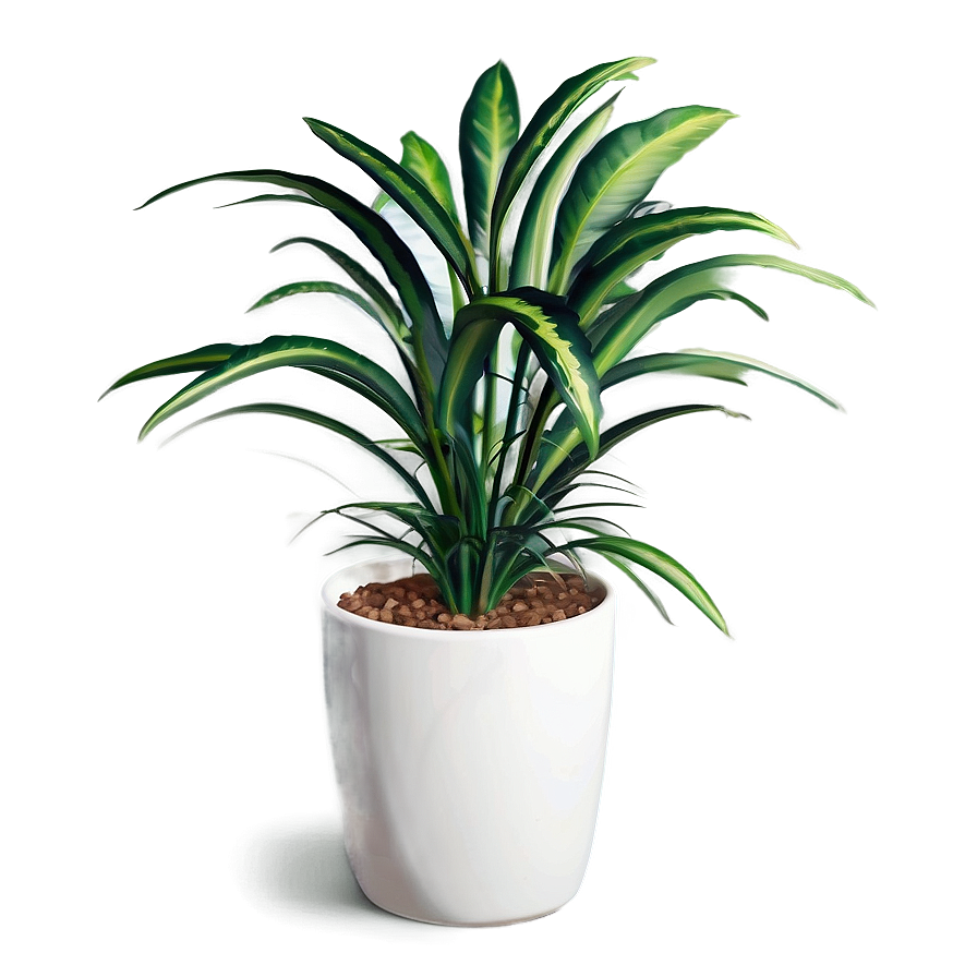 Floor Plant Png Xjq PNG Image