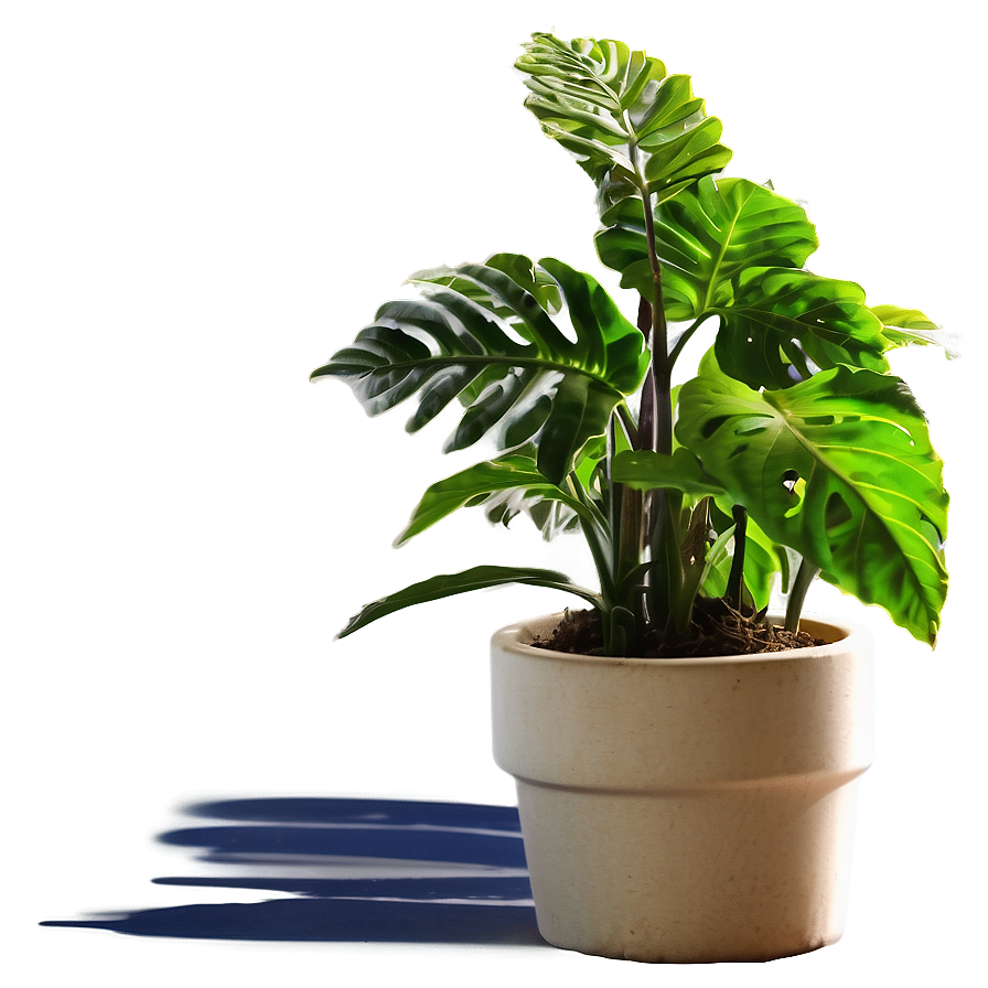 Floor Plant Silhouette Png Jpu25 PNG Image