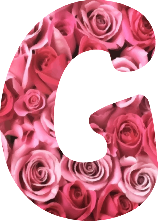 Floral Alphabet G Letter Rose Design PNG Image