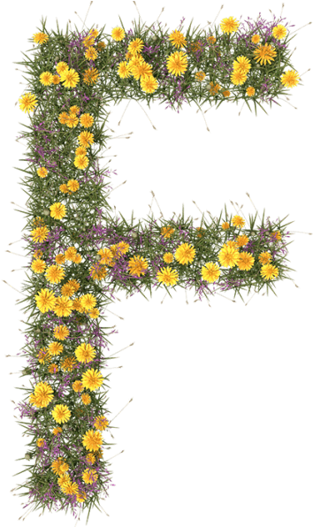 Floral Alphabet Letter F PNG Image