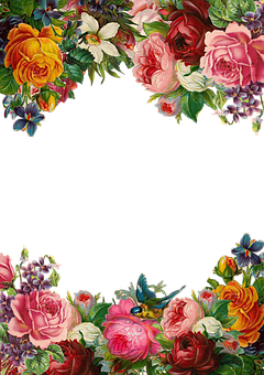 Floral Arch Frame Design PNG Image