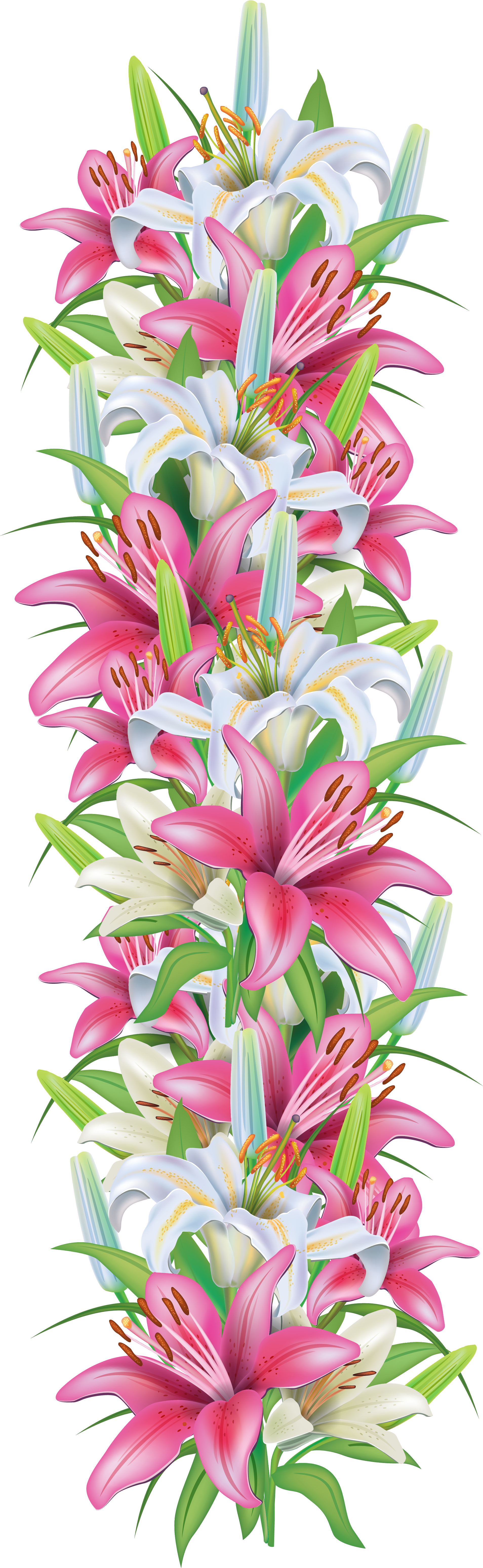 Floral Border Clipart Lilies PNG Image