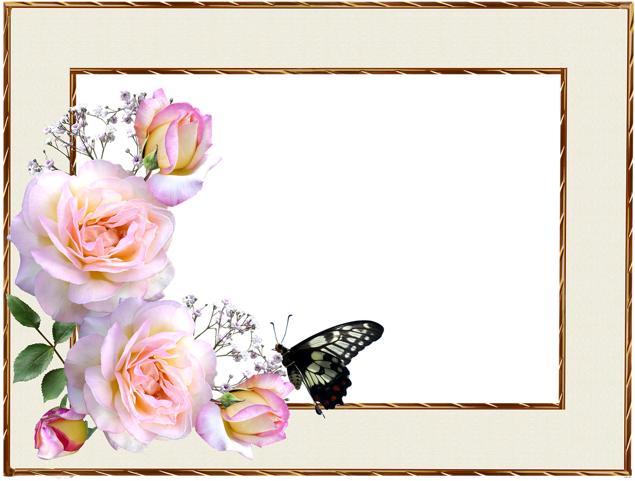 Floral_ Border_ Design_with_ Butterfly PNG Image