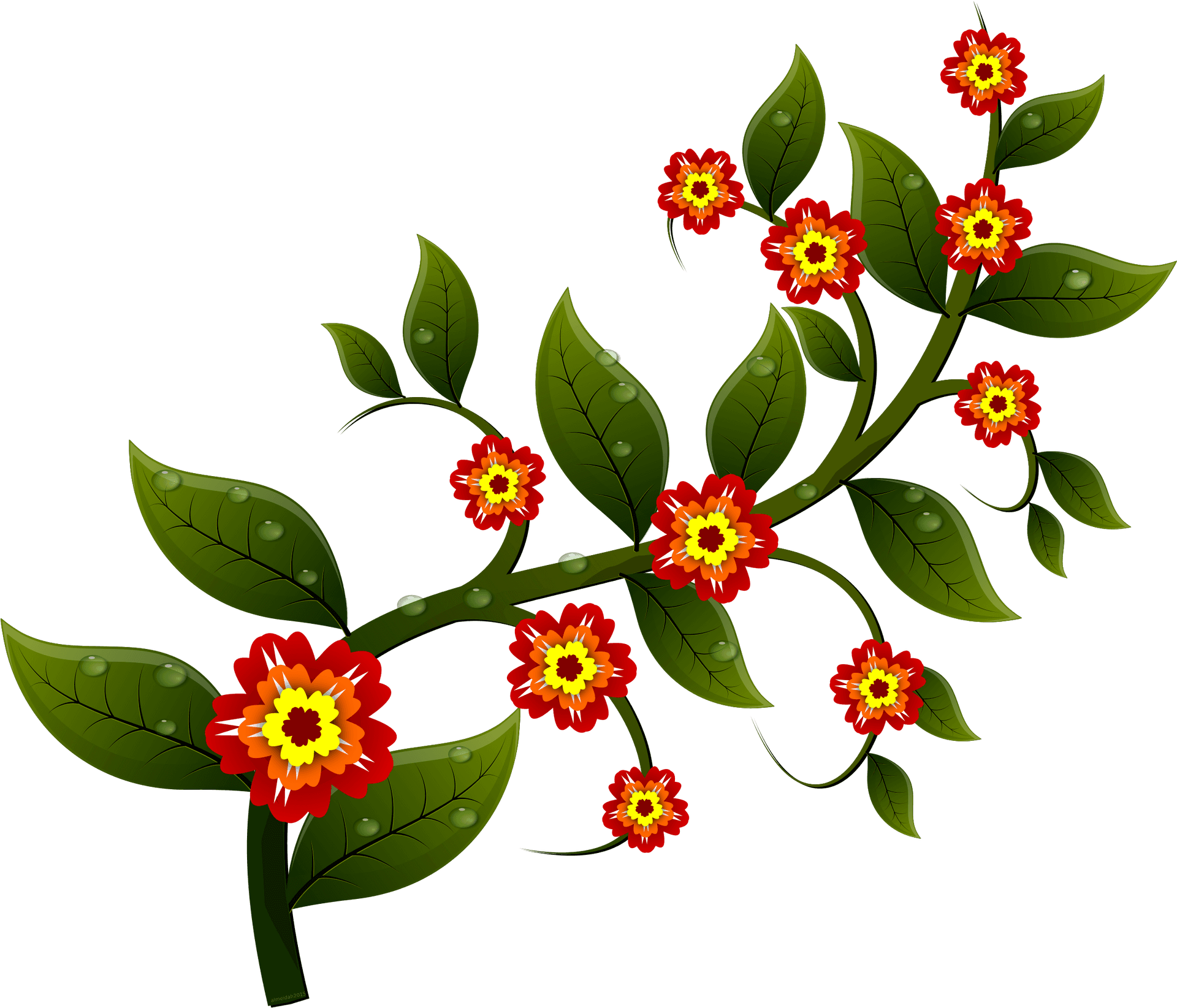 Floral Branch Illustration PNG Image