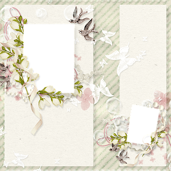 Floral Butterfly Scrapbook Frame PNG Image