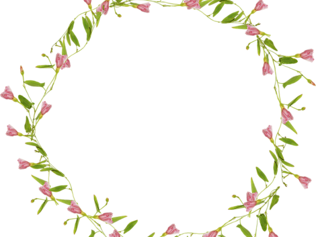 Floral Circle Frame P N G PNG Image