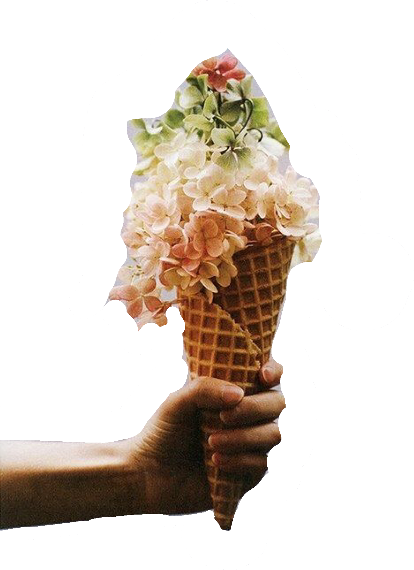 Floral Cone Surrealism.png PNG Image