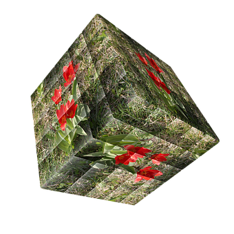 Floral Cube Illusion PNG Image