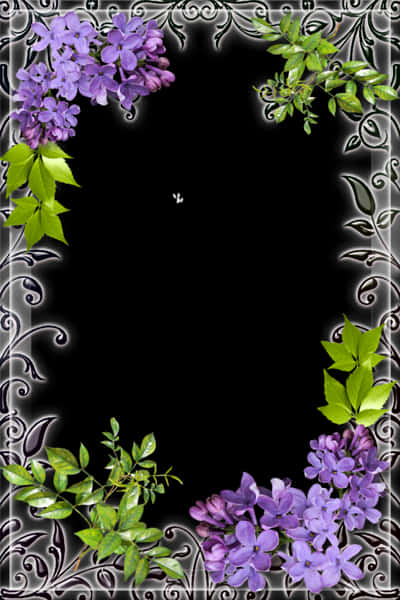 Floral Decorated Black Frame PNG Image