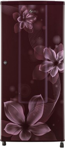 Floral Design Refrigerator PNG Image