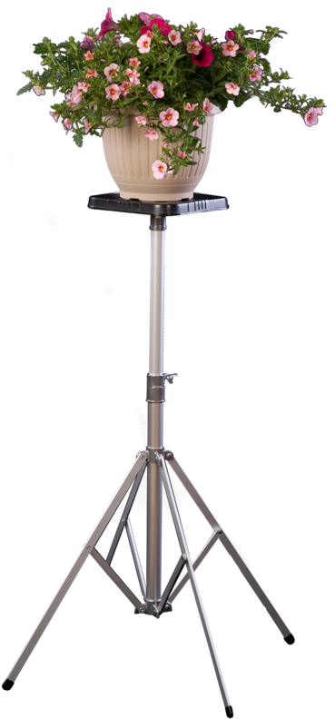 Floral Display On Tripod Stand PNG Image