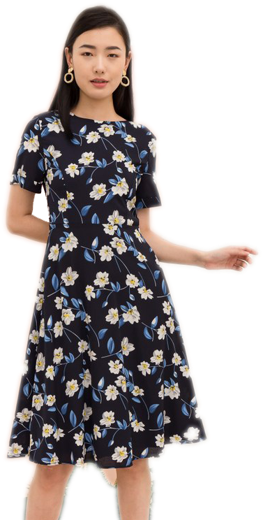 Floral Dress Woman Posing PNG Image