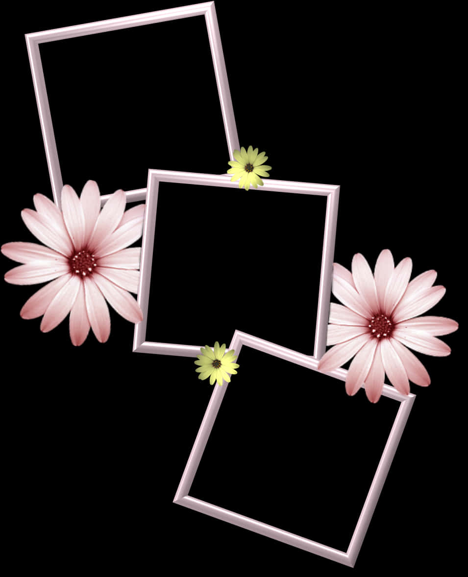 Floral Embellished Photo Frames PNG Image