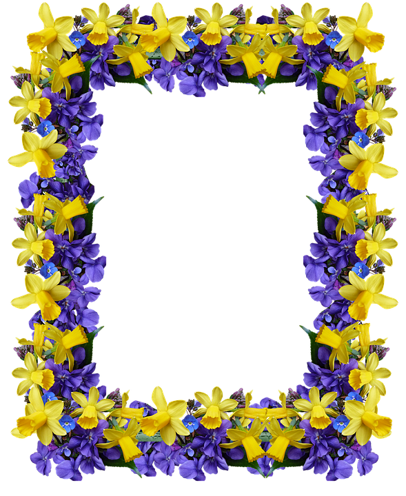 Floral Frame Yellowand Purple Flowers PNG Image