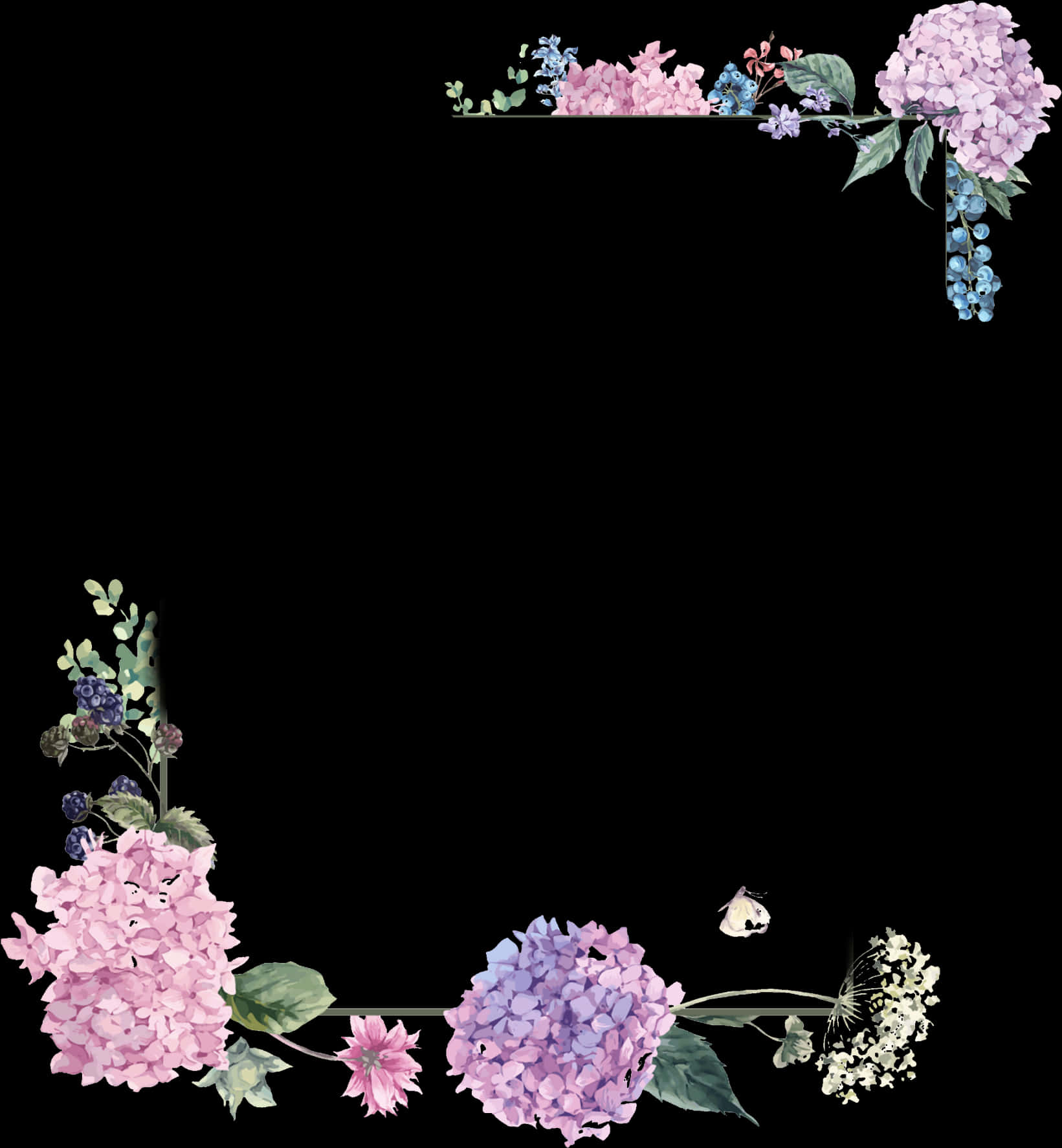 Floral Frameon Black Background PNG Image