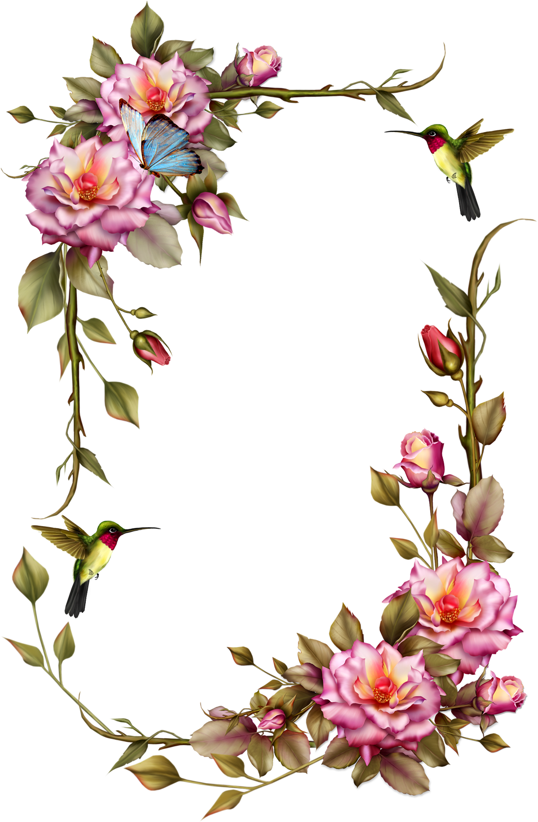 Floral Framewith Hummingbirdsand Butterfly PNG Image