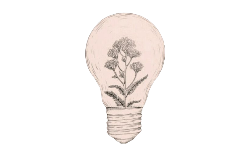 Floral Idea Lightbulb Illustration PNG Image