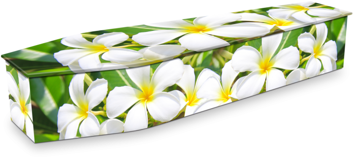 Floral Pattern Coffin PNG Image